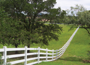 Photo of a green field with a white fence that extends off into the distance. 