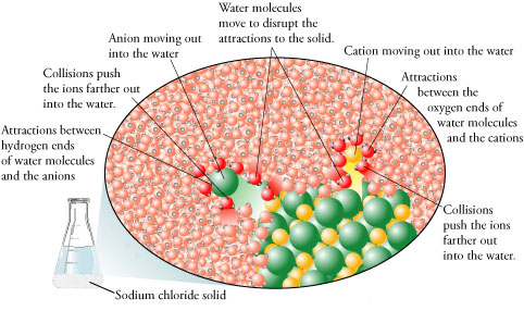 Image of the combination of NaCl solid and water before the sodium chloride dissolves