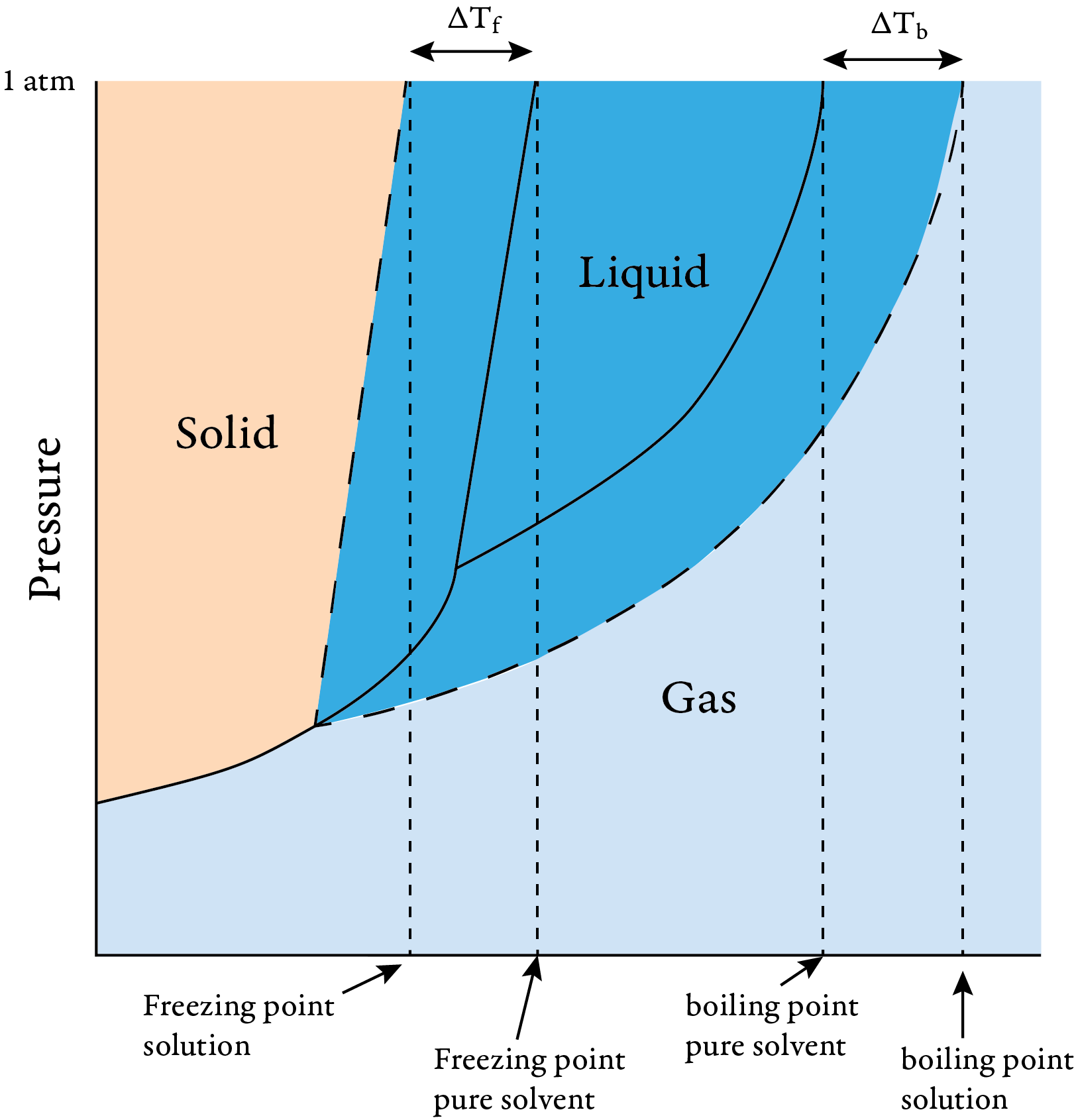 Image of a phase diagram for pure solvent and solutions. It shows boiling point elevation and freezing point depression