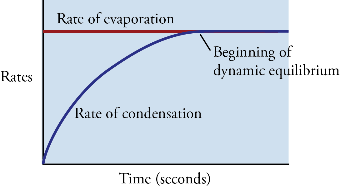 Image showing the changes in the rate of evaporation and the rate of condensation with time as they approach dynamic equilibrium