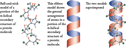 Image of the alpha helix secondary structure of a protein
