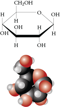 Image of the line drawing and space filling model for beta glucose