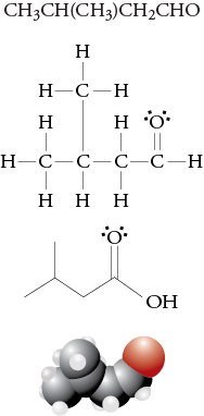 Image of the condensed formula, Lewis structure, line drawing, and space filling model for isovaleraldehyde
