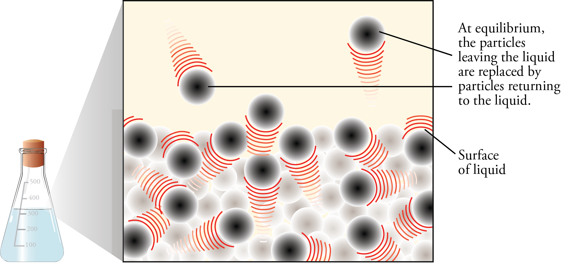 Image of a particle image showing the balancing of evaporation and condensation
