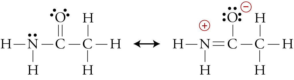 Image showing the two resonance structures of H2NCOCH3