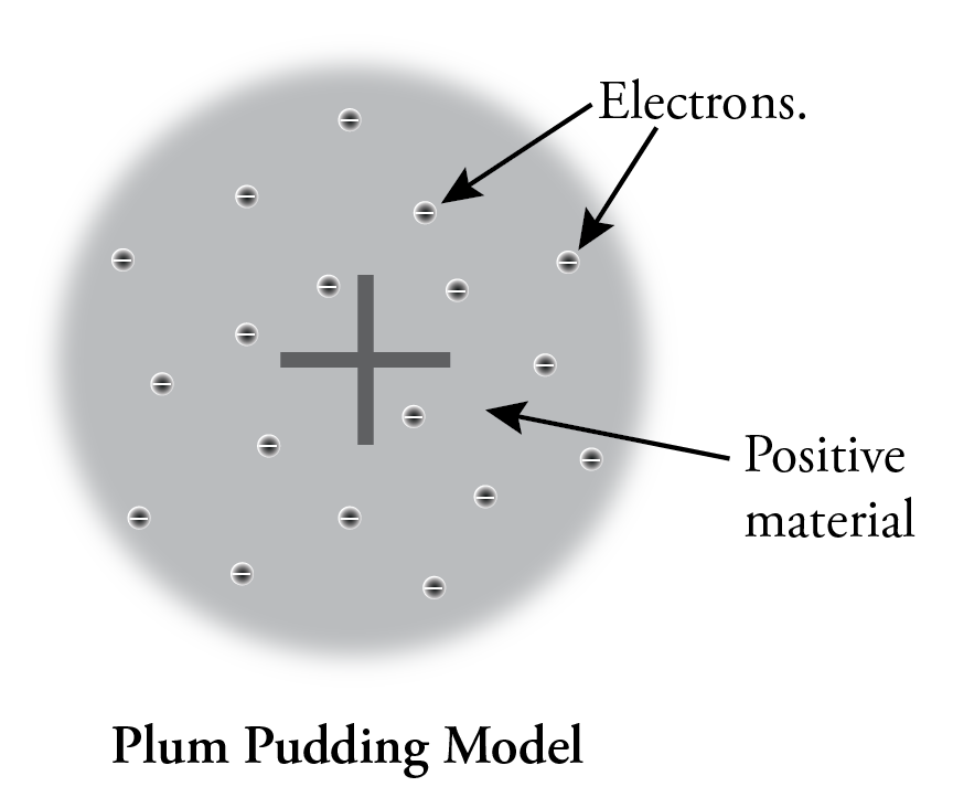 An image of Thomson's Plum pudding model