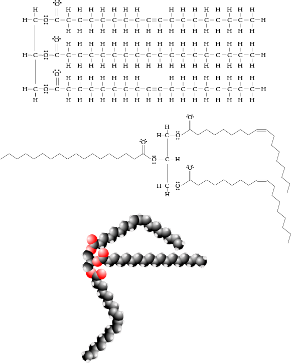 Unsaturated Triglyceride Jmol Unsaturated Triglyceride Jmol