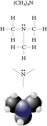 Image of the condensed formula, Lewis structure, line drawing, and space filling model for trimethylamine