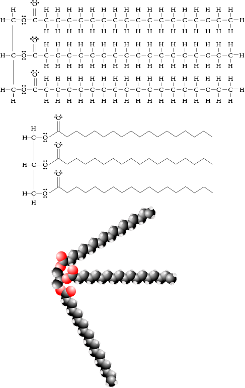 Saturated Triglyceride Jmol Saturated Triglyceride Jmol
